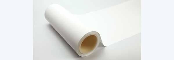 Polyvinylidene Fluoride (PVDF) Membrane